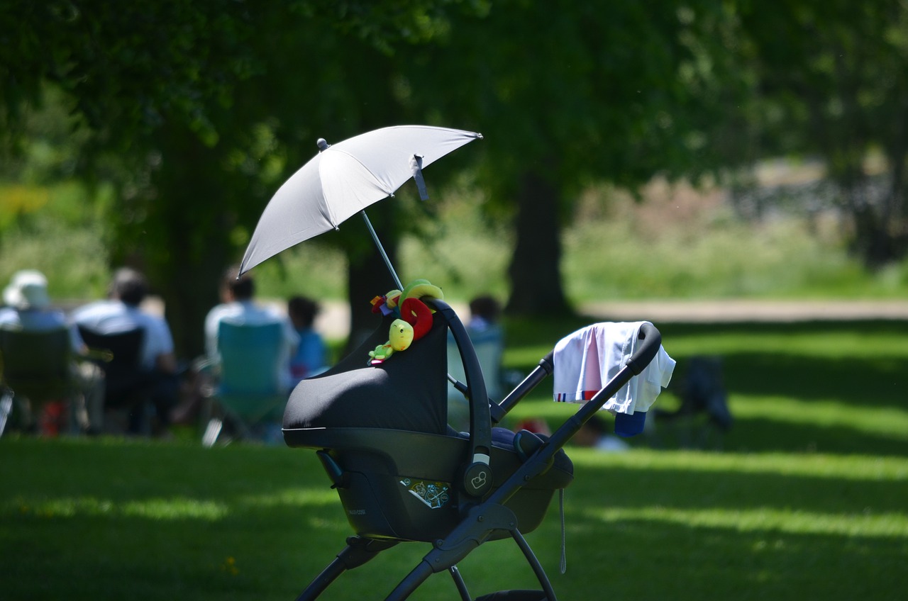 5 Best Baby Strollers with Car Seat Combo for a Safe Road Trip